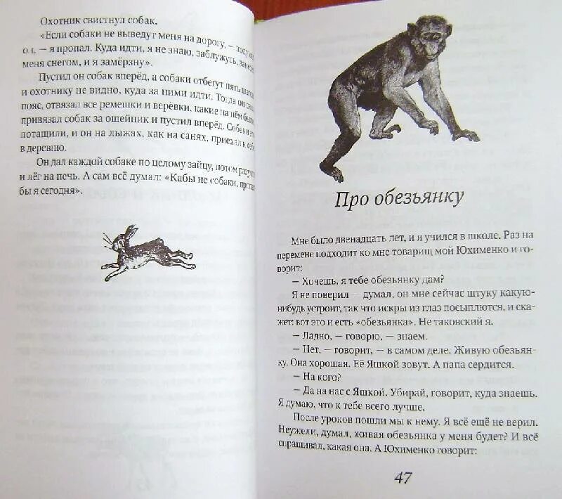 Рассказ про обезьянку яшку. Отзыв на рассказ житкова про обезьянку. Отзыв на рассказ житкова про обезьянку. Отзыв на рассказ житкова про обезьянку. Орис житков «про обезьянку».