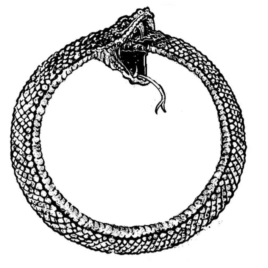 Змея значение символа. Змей ёрмунганд Уроборос. Змея Уроборос Ведьмак. Уроборос древний оккультный символ. Уроборос 2 змеи.