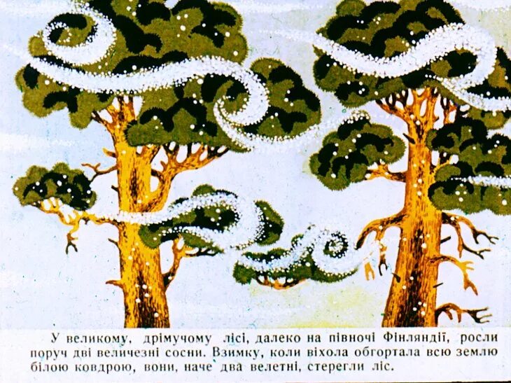 Как сосна лосяток спасала книга. Сказки соснами. Почему сосна и ель вечнозеленые чувашская народная сказка. Сказка про 2 сосны топелиус. Сказки соснами.