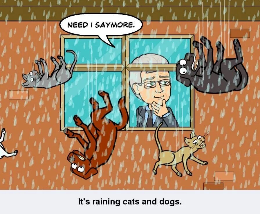 Идиомы it's raining Cats and Dogs. Rain Cats and Dogs идиома. It Rains Cats and Dogs перевод. Cats and Dogs поговорка ..