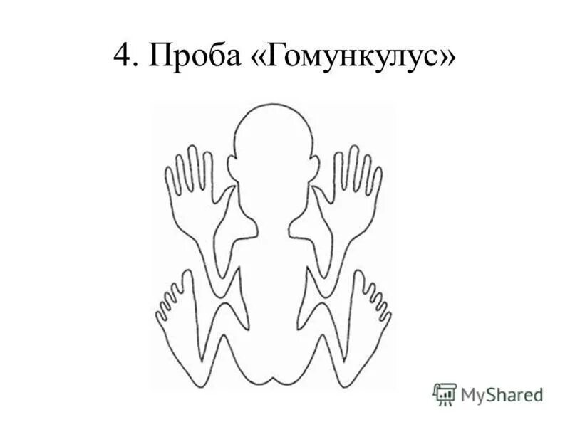 Гомункулус интерпретация. Гомункулус интерпретация