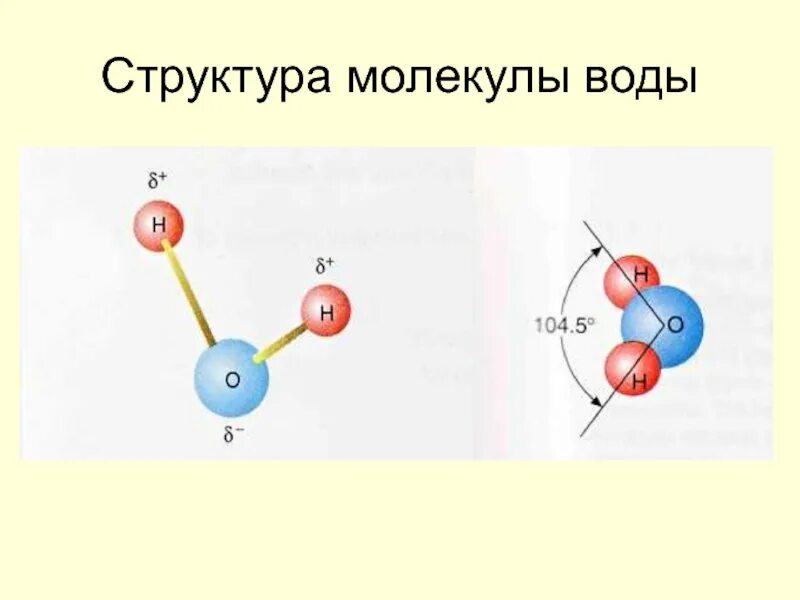 Схема структуры молекулы воды. Строение молекулы воды схема. Строение молекулы воды. Структура молекулы. Физика молекулы воды