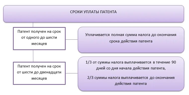 Сроки патентования. Уплата патента период. Выплаты патент. Порядок уплаты патента.