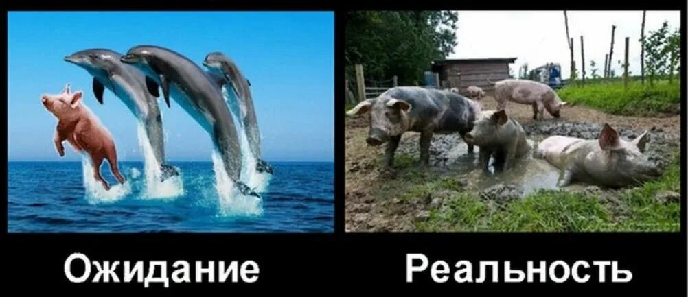 2 мечта и реальность. Демотиваторы ожидание и реальность. Украина ожидание и реальность. Хохлы ожидание и реальность. Армия Украины ожидание и реальность.