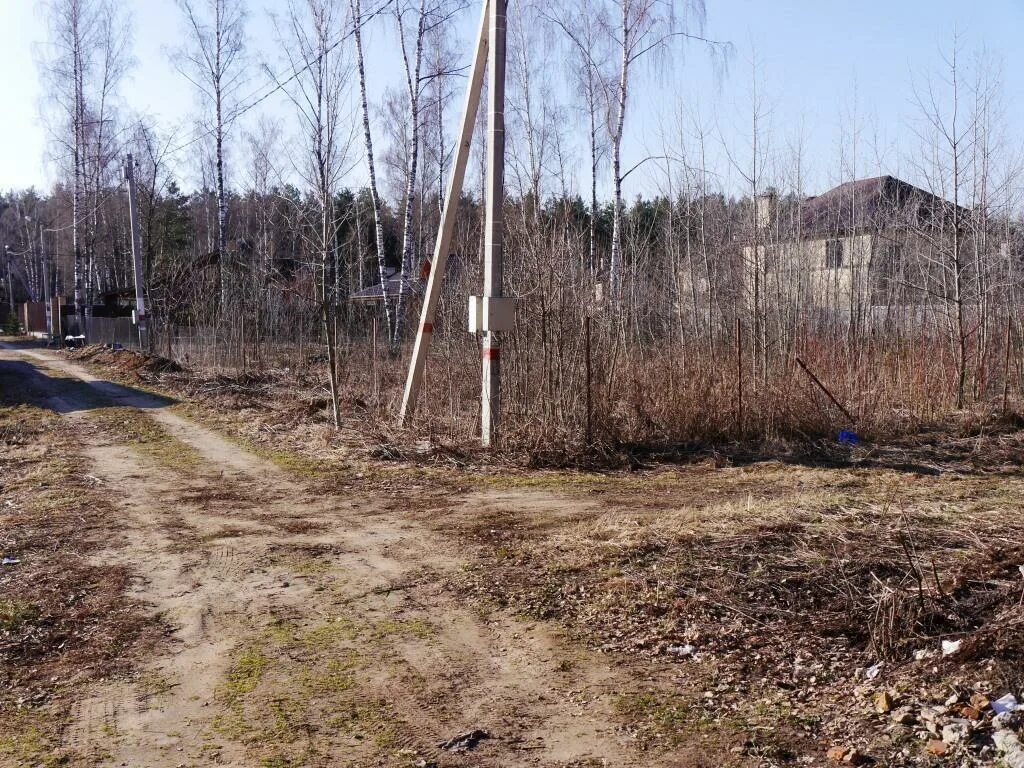 Петровский лес Лосино-Петровский. Петровское (Щёлковский район). Петровский лес пестрячи. Петровский лес 2. Купить участок петровск