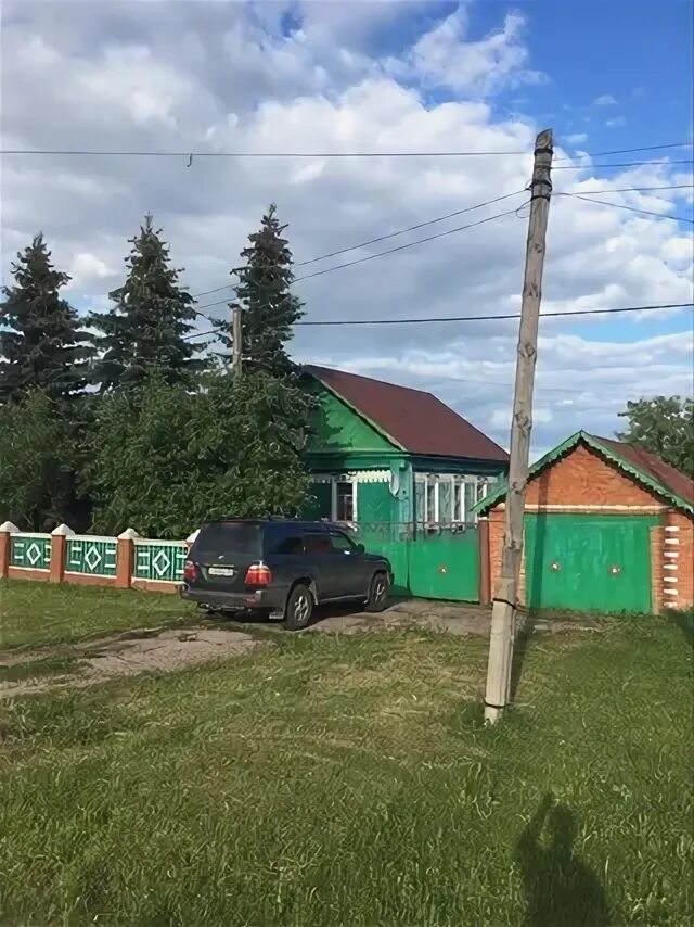 Авито толбазы животные. Дом в толбазах. толбазы башкортостан. деревня толбазы стерлитамак. толбазы улица тукаева.
