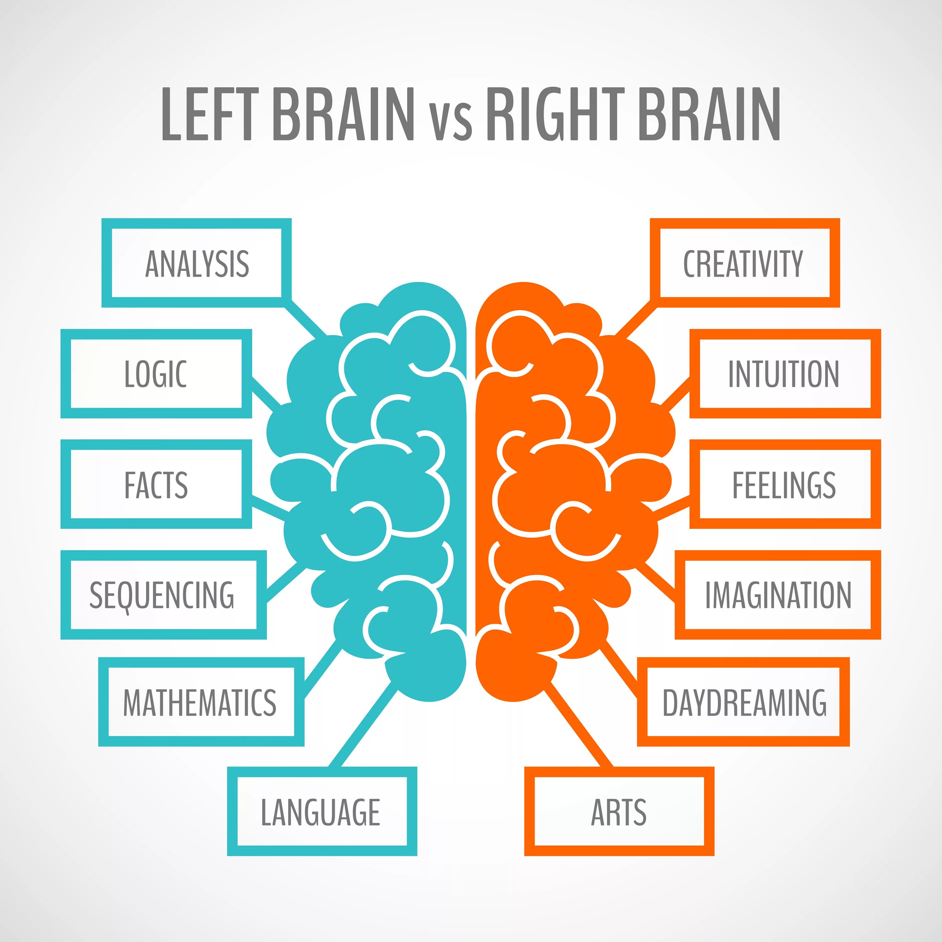 Brain only. Мозг инфографика. Левое и правое полушарие мозга инфографика. Инфографика полушария мозга. Инфографика по мозговой деятельности.
