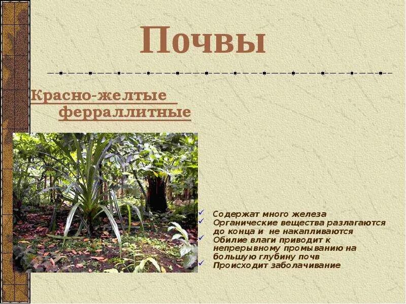 Характеристика красно желтых ферраллитных почв. Красно-жёлтые ферраллитные почвы природная зона. Характеристика красно желтых ферраллитных почв. Красные ферралитные почвы. Характеристика красно желтых ферраллитных почв.