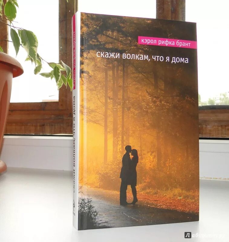 Скажи волкам что я дома. Кэрол Рифка Брант. Скажи волкам что я дома книга. Кэрол Рифка Брант «скажи волкам, что я дома». Книга я дома.