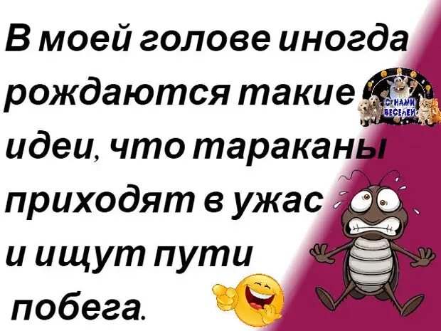 Отсутствие тараканов в голове 11 букв