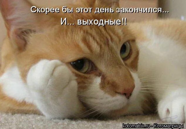 Наконец то день прошел. Каникулы прикол. Выходные картинки прикольные. Наконец то выходные. Наконец то день прошел.