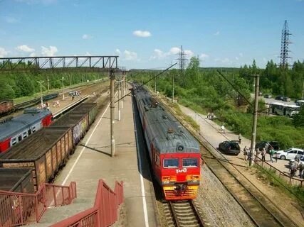 Прогноз мшинская