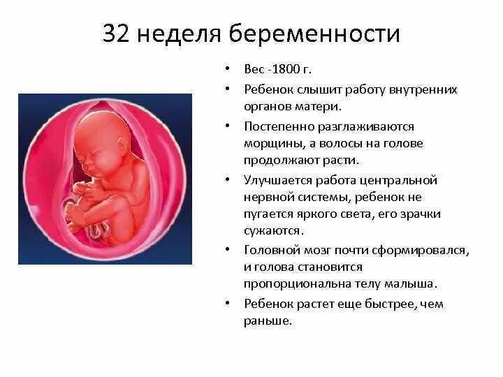 30 недель беременности что происходит с мамой. Формирование плода в 32 недели беременности. Ребёнок на 32 неделе беременности. Вес малыша на сроке 32 недели. Вес малыша на 32 неделе беременности.