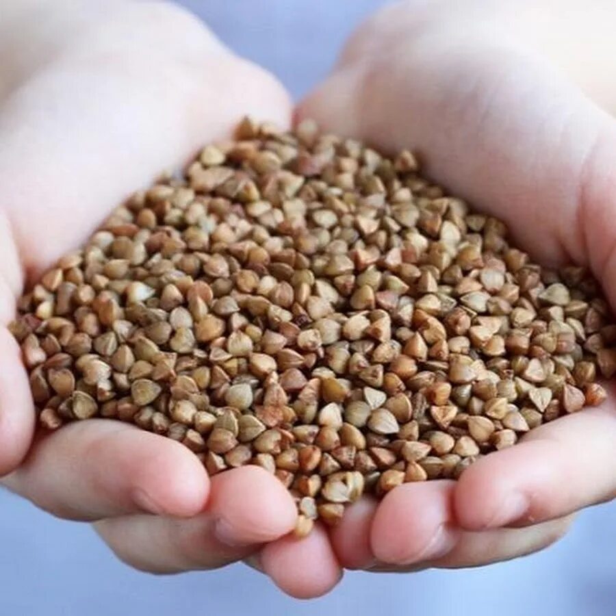 Больше чем гречка. Цитаты про гречку. Пшенка глютен. Гречка состав. Питательные вещества гречневой каши.