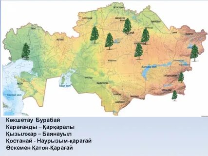 Жер көлемі бойынша мемлекеттер