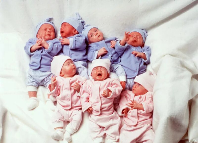 Сэм сара близняшки. Близняшки руссо. Близнецы лиа роуз и ава мари клементс маленькие. Двойняшки клементс. Двойняшки клементс.