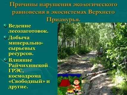 Причины экологических заболеваний