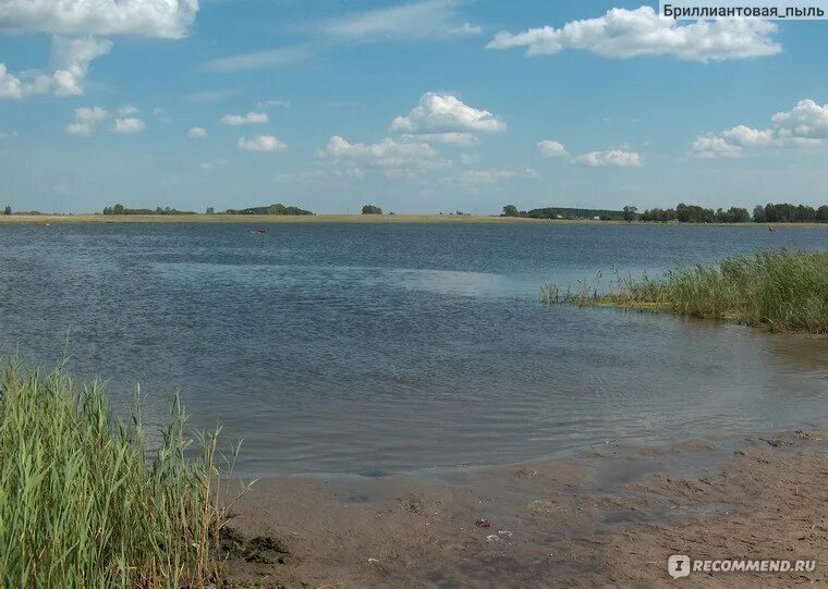 Озеро завьялово алтайский край. Солёное озеро в алтайском крае завьялово. Щелочное озеро алтайский. Щелочное озеро алтайский край завьялово. Солёное озеро завьялово алтайский.