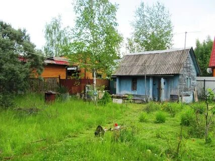 Ногинск пешково
