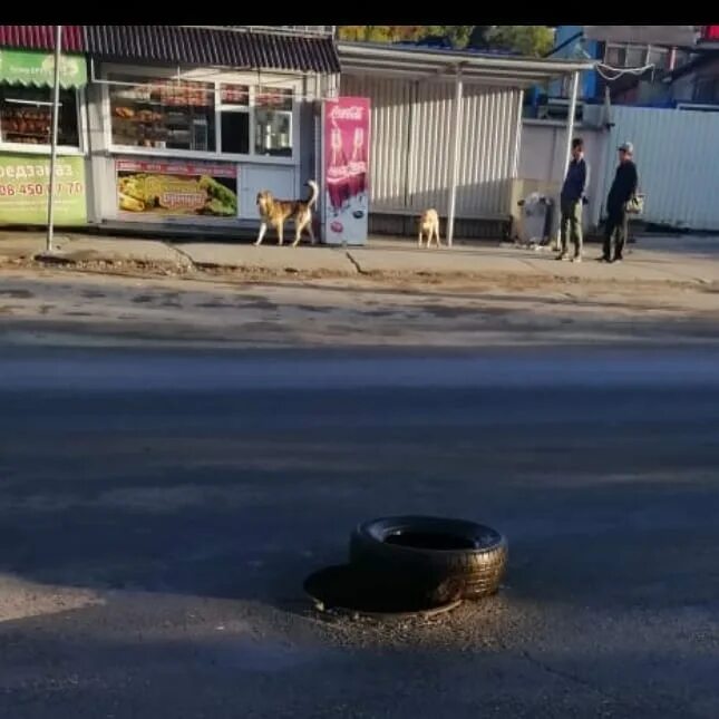 Новости нажми. Остановка Дальхимпром Владивосток. Остановка Дальхимпром.