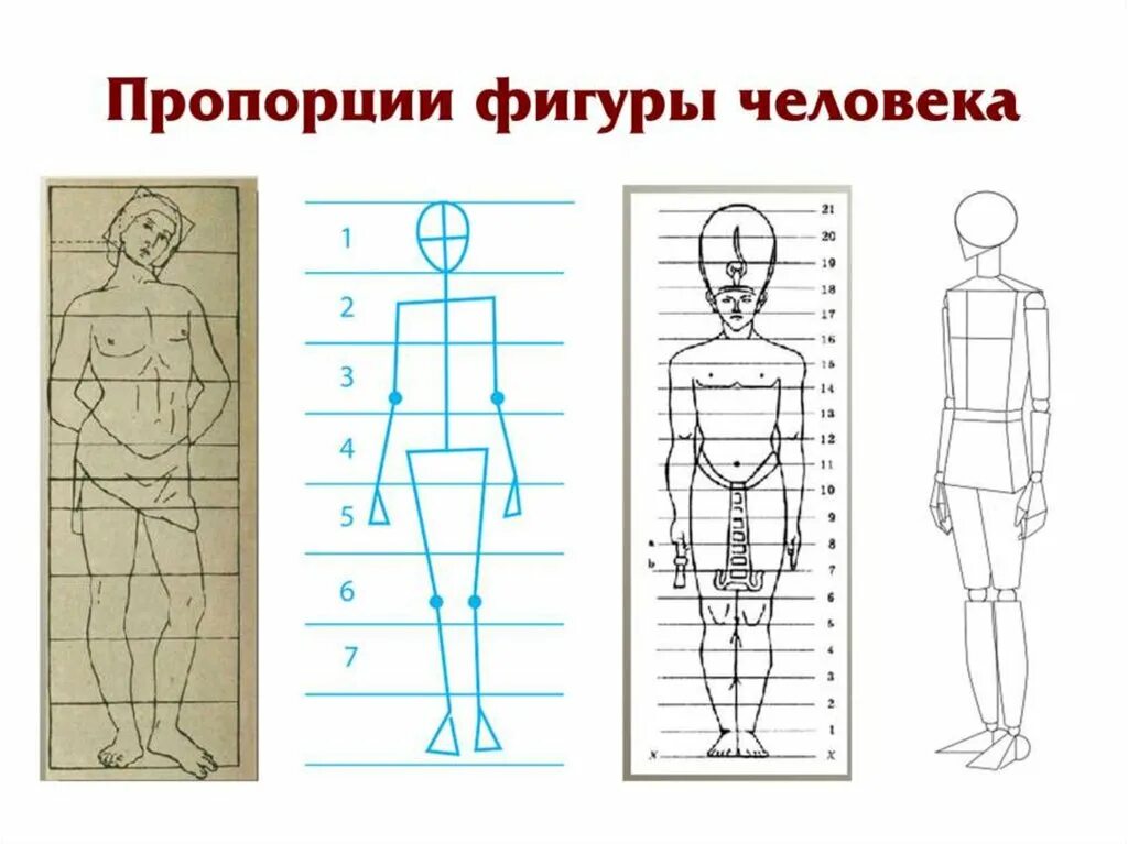 Рисунок изображение фигуры. Пропорции фигуры человека. Пропорции фигуры чловек. Схема построения фигуры человека пропорции. Пропорции фигуры человека для детей.