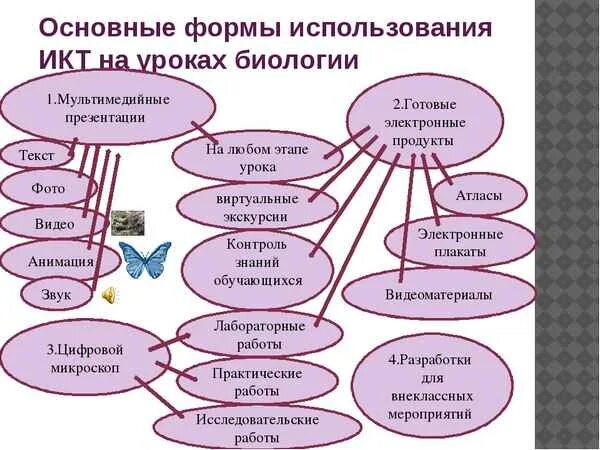 Формы работы на уроке биологии. ИКТ технологии на уроке. Технологии на уроках биологии. Формы работы на уроке биологии по ФГОС. Методики на уроках истории