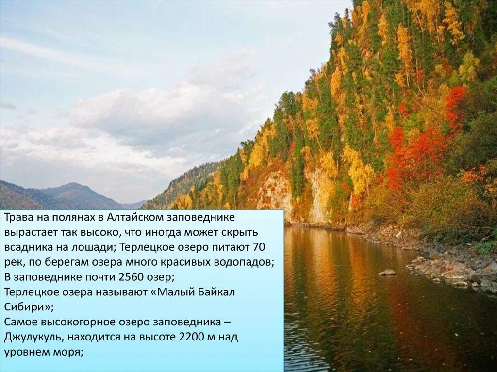 Охраняемые природные территории алтайского края. Заповедники Республики Алтай проект. Презентация на тему Алтайский заповедник. Алтайский заповедник факты. Алтайский заповедник проект.