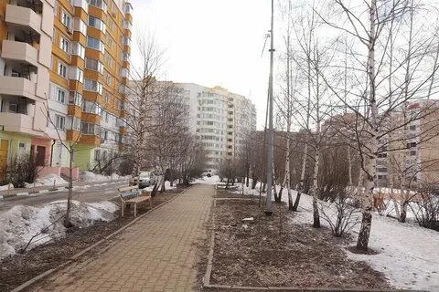 Погода в мытищах ноябрь