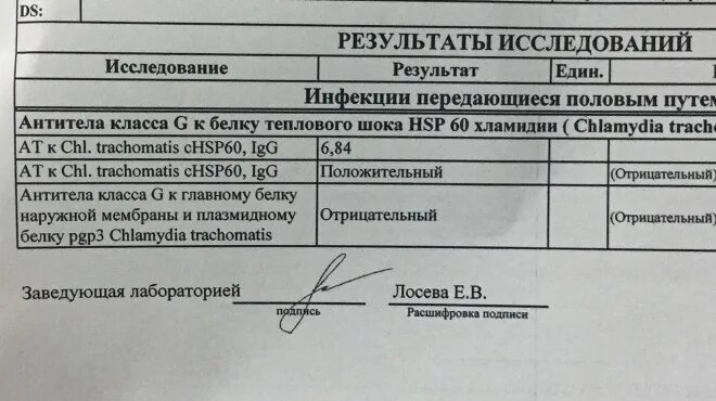 Отрицательные хламидии. ПЦР на хламидии расшифровка. Исследование ДНК хламидии. Расшифровка анализа на хламидии ПЦР. Показатели анализа крови на антитела хламидии.