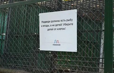 Детка клетка текст