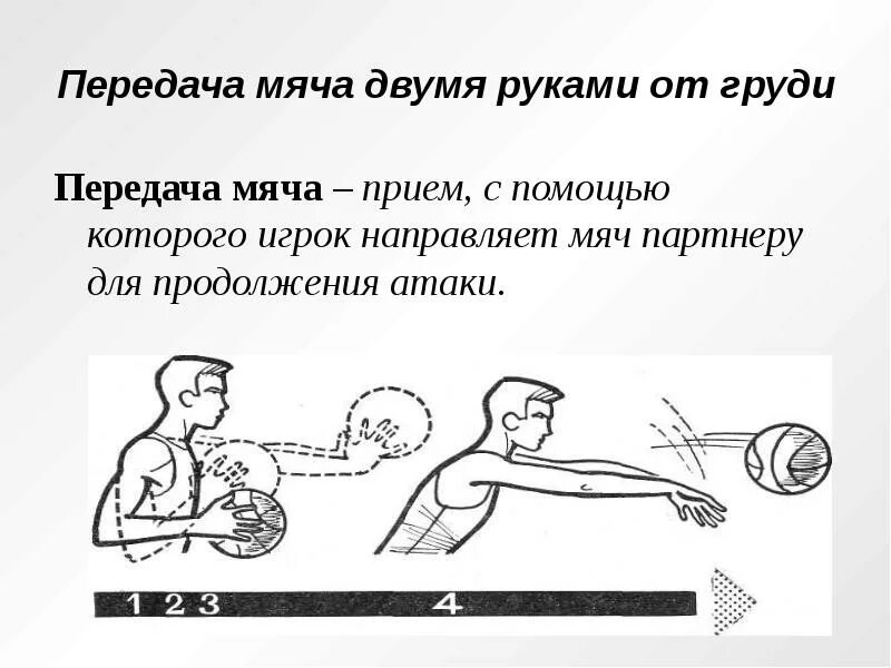 Ловля и передача мяча двумя руками. Ловля и передача мяча от груди. Ловля и передача мяча от груди. Прием передача мяча снизу и сверху в баскетболе. Ловля мяча двумя руками.