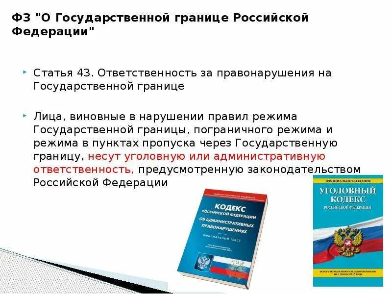 Правонарушения государственной границы