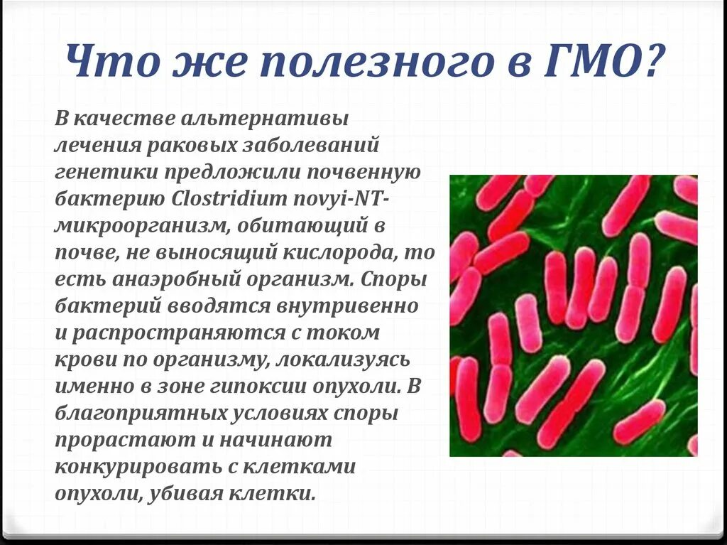 Проект на тему гмо в жизни подростков Что такое гмо простыми словами
