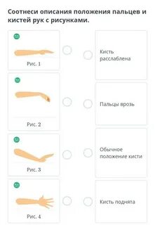 Соотнести описание