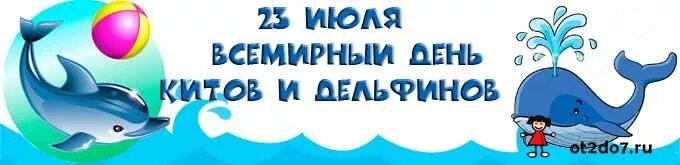 День дельфинов в детском саду. Всемирный день китов в детском саду. День дельфинов в детском саду. День китов и дельфинов в детском саду. 23 июля день китов и дельфинов.