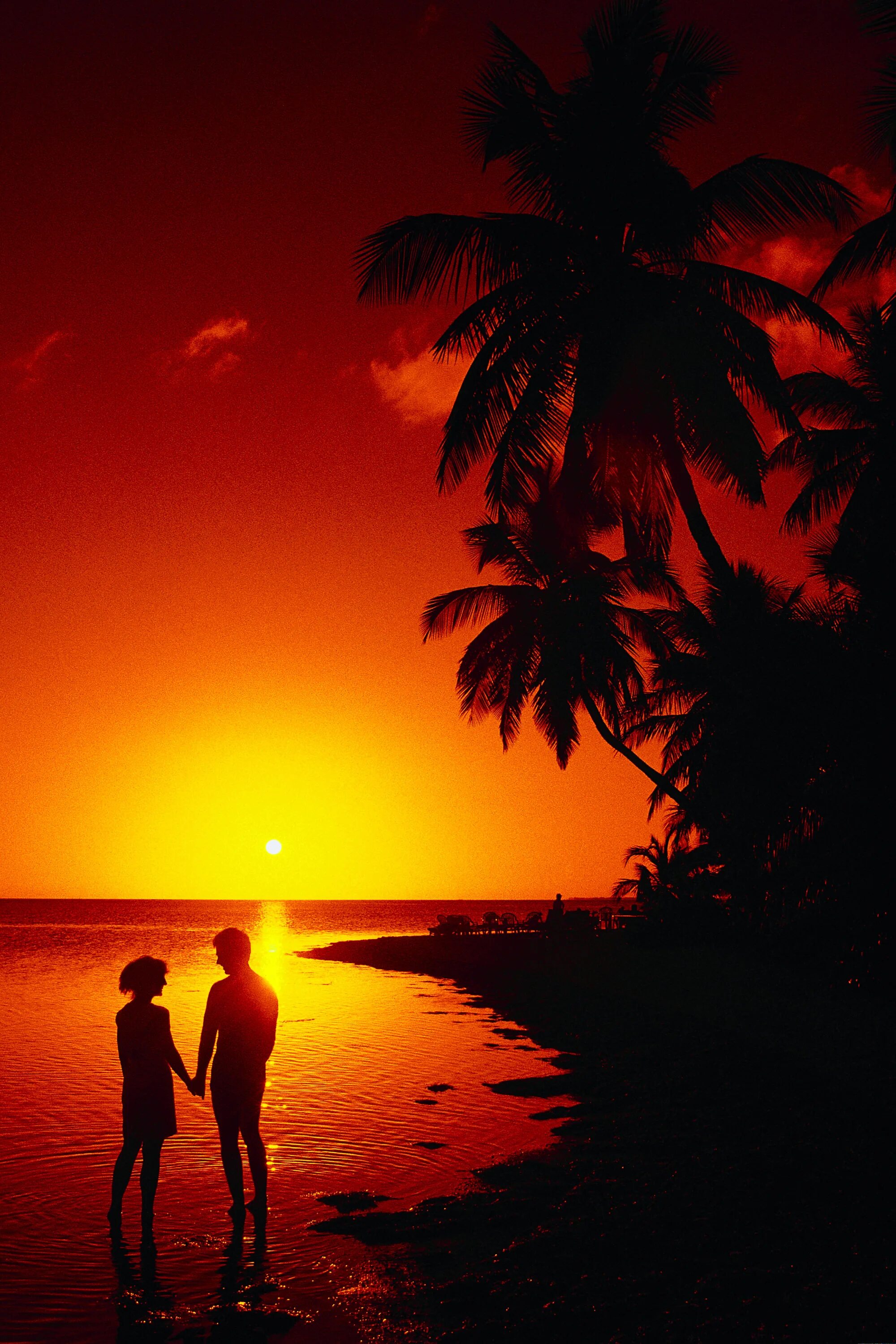 Palms on love. Романтический закат. Море закат влюбленные. Романтика на пляже ночью. Романтический закат на море.