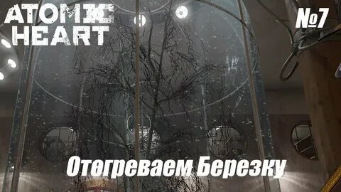 Активируйте березу пк 4