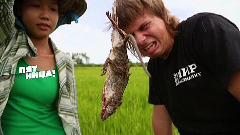 Комаров мир наизнанку пакистан. Мир наизнанку пакистан женщина лиса. Мир наизнанку мужик лиса. Мир наизнанку лиса. Человек лиса в пакистане мир наизнанку.