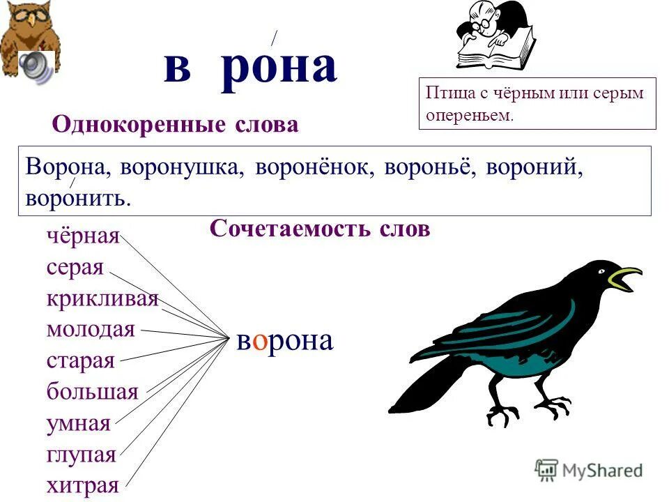 Три ворона текст. Ворона предложение. Птицы существительные. Ворона родственные слова. Слова к слову птица.