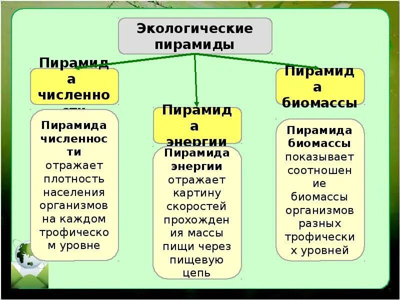 Экологические сообщества 11