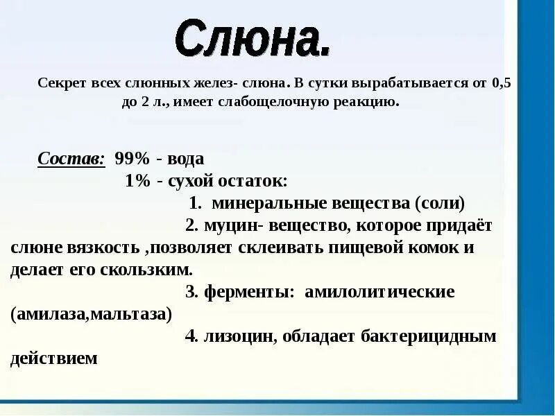 Минеральная слюна. Слюна имеет реакцию. Химический состав слюны человека. Слюнные железы состав слюны. Как вырабатывается слюна.