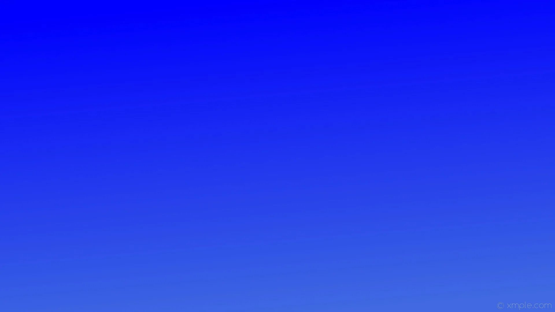 Хризантемы индиго. Голубой цвет фон. Голубой фон. Синие хризантемы. Цветы на синем фоне.