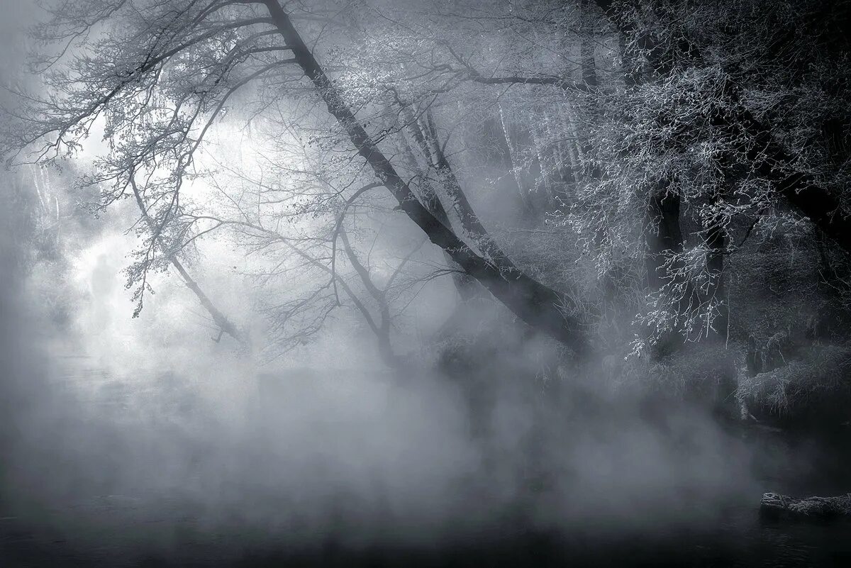 доктор флорес девушка в тумане. лес в тумане. игра mist мгла. призрак в тумане. туманы лимана.