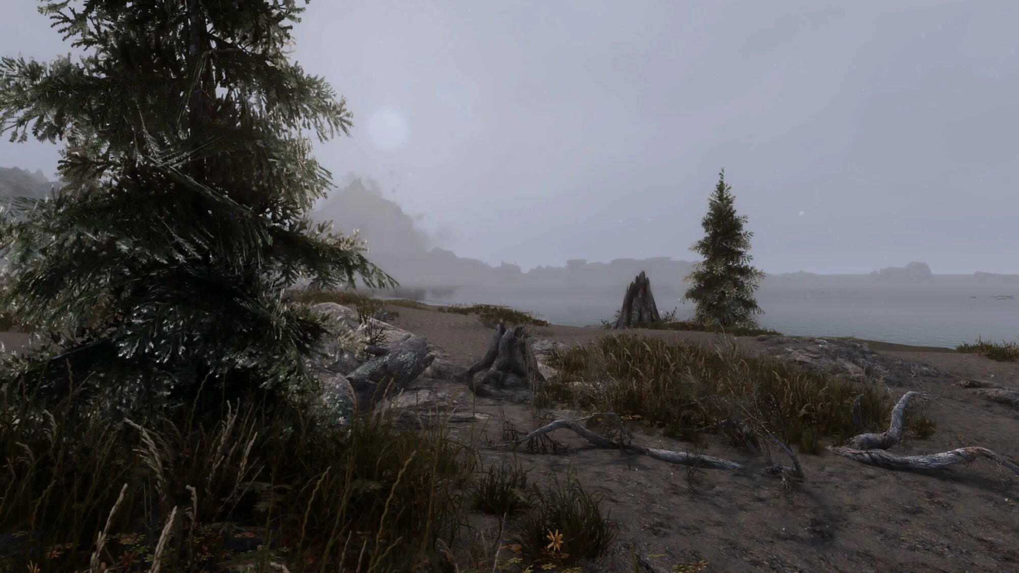 Skyrim enhanced. Skyrim enhanced