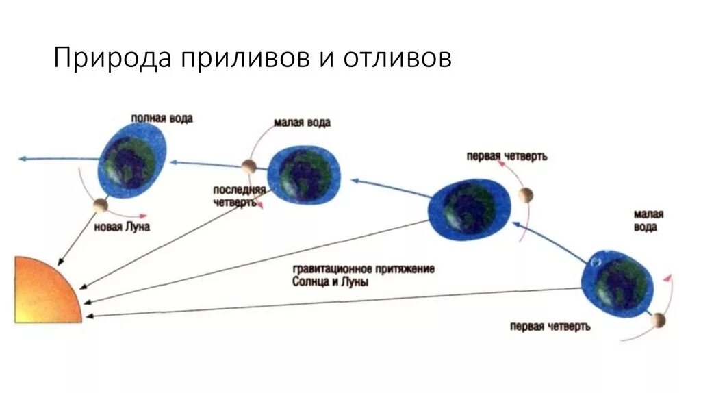 Притяжение воды луной