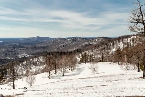 Вишневая гора