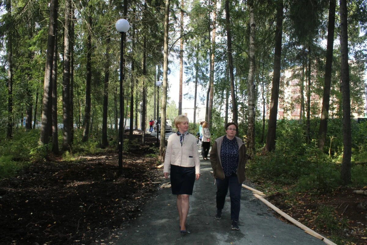 Родники петрозаводск. Родник на ключевой Петрозаводск. Петровский сквер Петрозаводск. Родник Петровского парка. Кемская аллея Петрозаводск.