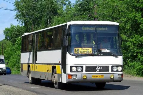 Man 59