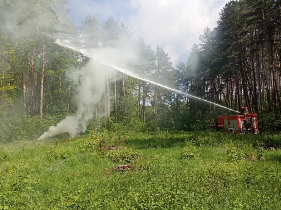 Населенные пункты подверженные угрозе перехода природных пожаров. Основні заходи боротьби с лісовими пожежами. Перечень населенных пунктов подверженных природным пожарам