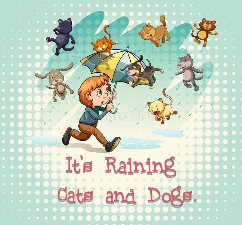 It s raining cats. Идиомы raining Cats and Dogs. Идиома it's raining Cats and Dogs. Raining Cats and Dogs идиома. Rain Cats and Dogs идиома.